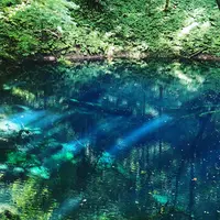 アオーネ白神十二湖の写真・動画_image_414301