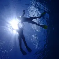 慶良間諸島周辺の写真・動画_image_419029