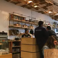 Ijentea Kaleaの写真・動画_image_421617