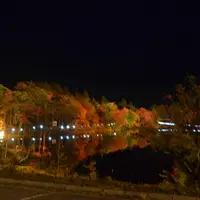 茶臼山高原の写真・動画_image_423273