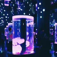 マクセル アクアパーク品川の写真・動画_image_423651