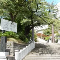 伊勢山皇大神宮の写真・動画_image_424300