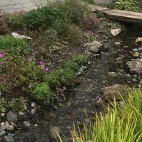 富士大石ハナテラスの写真・動画_image_428520