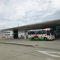 宮浦港の写真・動画_image_429253