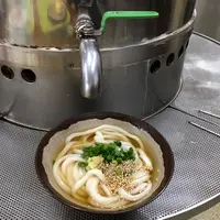 さか枝うどん 本店の写真・動画_image_429277