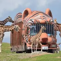 アフリカンサファリの写真・動画_image_429615