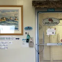 Aloha Handsの写真・動画_image_430174