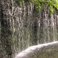 白糸の滝の写真・動画_image_430379