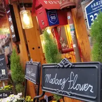 マダンフラワーカフェ 익선동の写真・動画_image_430927