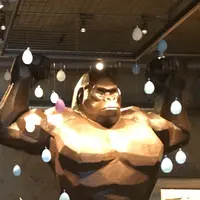 チョコレートバンクの写真・動画_image_431391