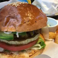 フェローズの写真・動画_image_431443