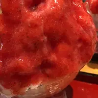 ひみつ堂の写真・動画_image_431448