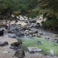 西の河原公園の写真・動画_image_431674