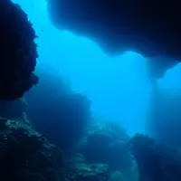 宮古島の写真・動画_image_432502
