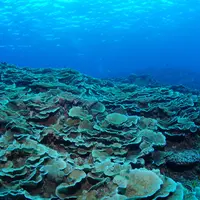 多良間島の写真・動画_image_432518