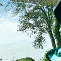 シャーレ水ケ浜の写真・動画_image_433523