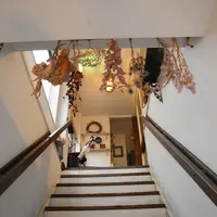 Ｌｉｇｈｔｎｉｎｇ Ｃａｆｅの写真・動画_image_434341