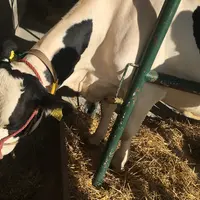 カントリーファーマーズ藤田牧場の写真・動画_image_435072