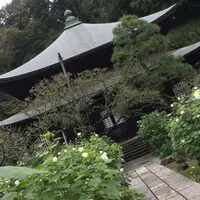 瑞泉寺の写真・動画_image_435211