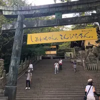 金刀比羅宮（こんぴらさん）の写真・動画_image_435320