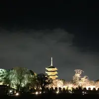 東寺（教王護国寺）の写真・動画_image_435578