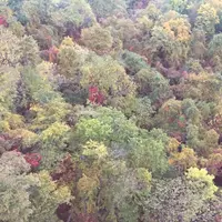 札幌もいわ山ロープウェイの写真・動画_image_437742