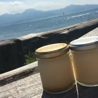 またいちの塩の写真・動画_image_438439