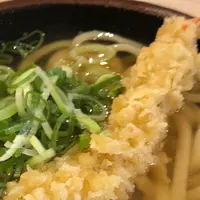 宝うどんの写真・動画_image_442286