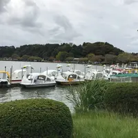 千波湖の写真・動画_image_442816