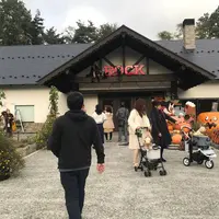 萌木の村　メイフェアの写真・動画_image_443041