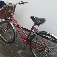 レンタサイクル 京都みやび屋の写真・動画_image_446053