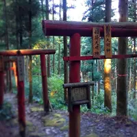 横峰寺の写真・動画_image_446616