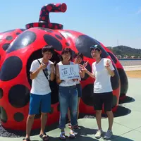 赤かぼちゃの写真・動画_image_446993