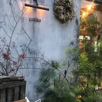 cotito ハナトオカシトの写真・動画_image_447419