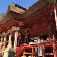 羽黒山の写真・動画_image_447533