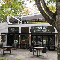 旧軽井沢銀座の写真・動画_image_447891