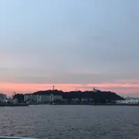 猿島航路の写真・動画_image_448607