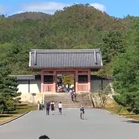 仁和寺の写真・動画_image_449484
