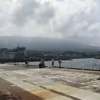 伊豆大島の写真・動画_image_449882
