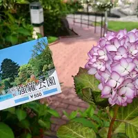 箱根強羅公園の写真・動画_image_450246