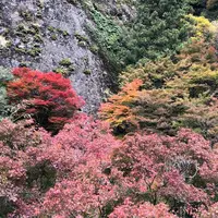 国民宿舎 古岩屋荘の写真・動画_image_450341