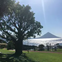 番所鼻自然公園の写真・動画_image_451043