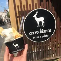 cervo biancoの写真・動画_image_451195