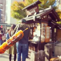 二四三屋の写真・動画_image_451417