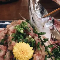 一山 いけすの写真・動画_image_451884