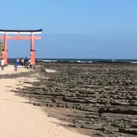 青島神社の写真・動画_image_452558