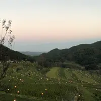 大山千枚田の写真・動画_image_452575