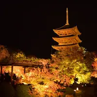 東寺（教王護国寺）の写真・動画_image_453502
