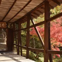 高台寺の写真・動画_image_453507