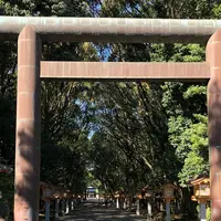 宮崎神宮の写真・動画_image_453599